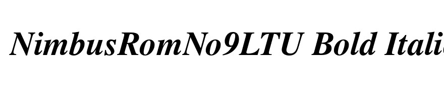 NimbusRomNo9LTU Bold Italic