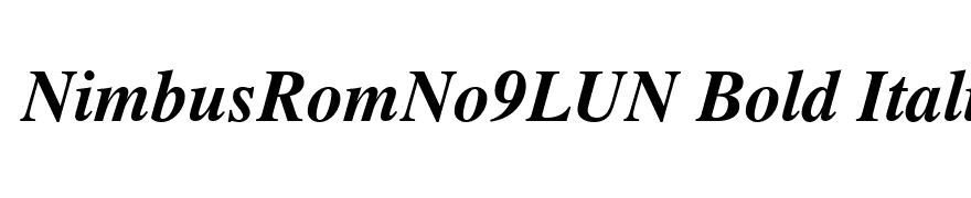 NimbusRomNo9LUN Bold Italic