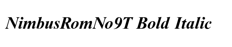 NimbusRomNo9T Bold Italic