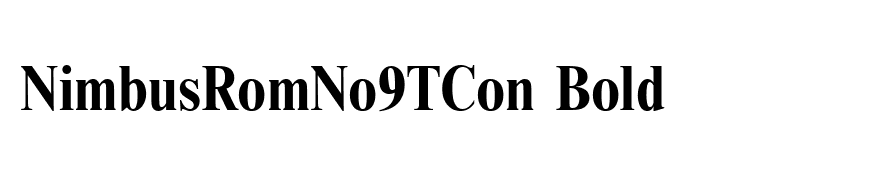 NimbusRomNo9TCon Bold