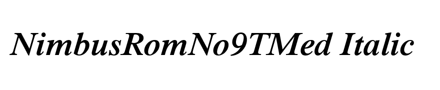 NimbusRomNo9TMed Italic