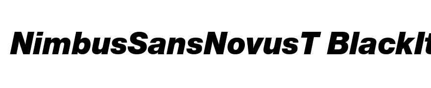 NimbusSansNovusT BlackItalic