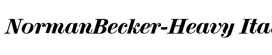 NormanBecker-Heavy Italic