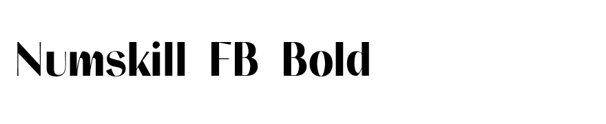 Numskill FB Bold
