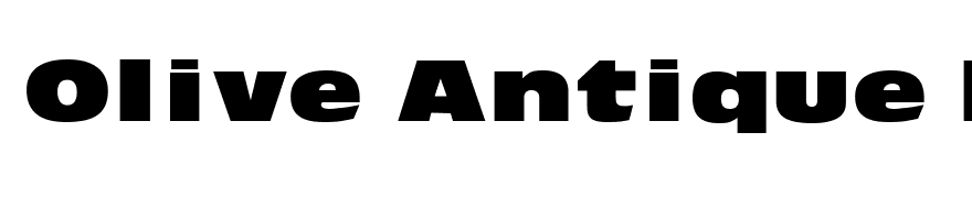 Olive Antique Black Extended Regular