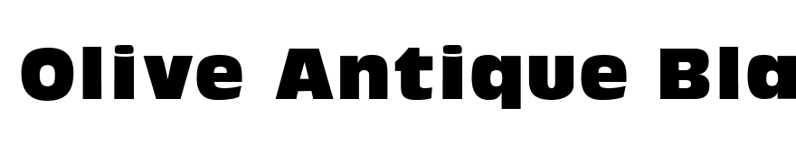 Olive Antique Black Regular