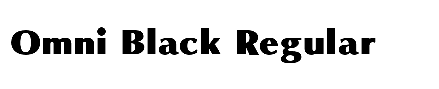 Omni Black Regular