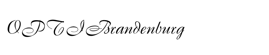OPTIBrandenburg