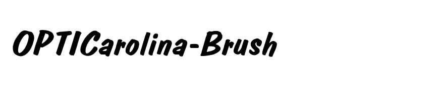 OPTICarolina-Brush