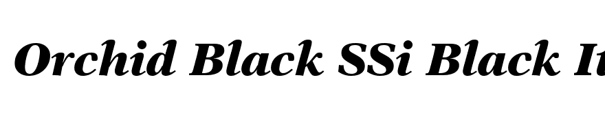 Orchid Black SSi Black Italic
