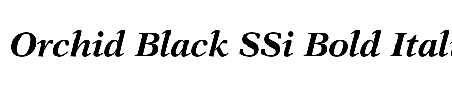 Orchid Black SSi Bold Italic