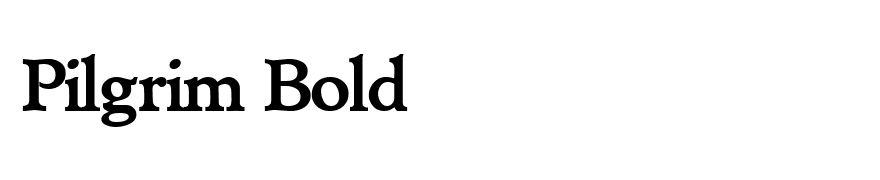 Pilgrim Bold