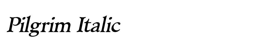 Pilgrim Italic