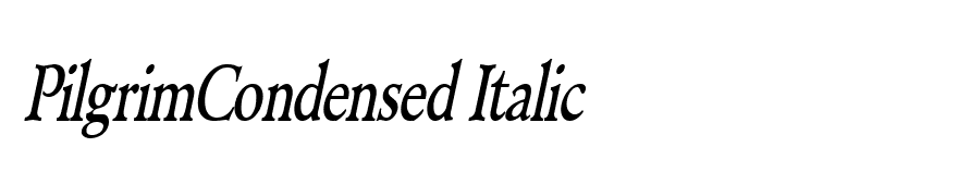 PilgrimCondensed Italic