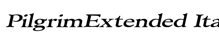 PilgrimExtended Italic