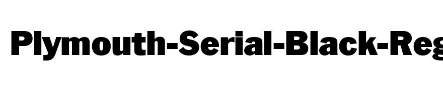 Plymouth-Serial-Black-Regular
