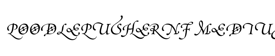 Poetica Supp Swash Capitals IV