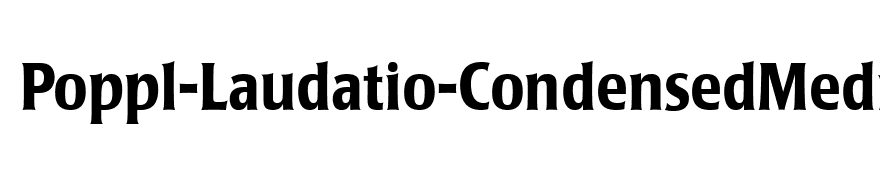 Poppl-Laudatio-CondensedMedium