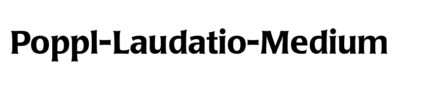 Poppl-Laudatio-Medium