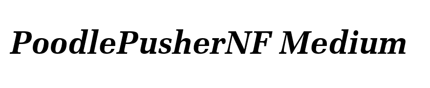 Protocol SSi Bold Italic