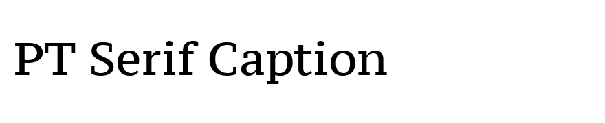 PT Serif Caption