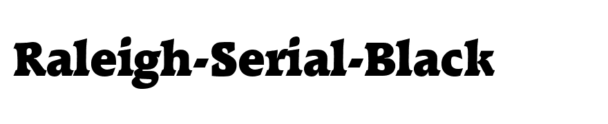 Raleigh-Serial-Black