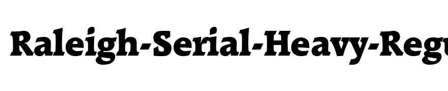 Raleigh-Serial-Heavy-Regular
