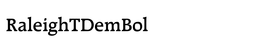RaleighTDemBol