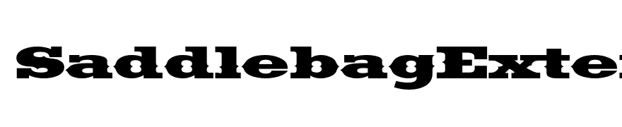 SaddlebagExtended