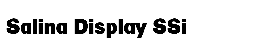 Salina Display SSi