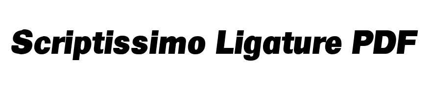 Salina Display SSi Italic