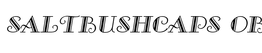 SaltbushCaps Oblique