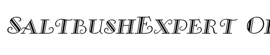 SaltbushExpert Oblique