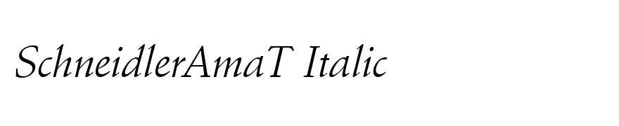 SchneidlerAmaT Italic