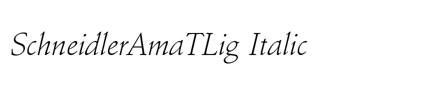 SchneidlerAmaTLig Italic