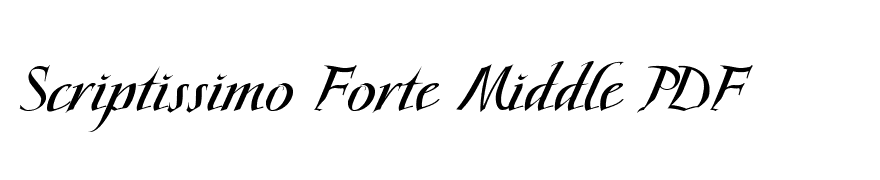 Scriptissimo Forte Middle PDF