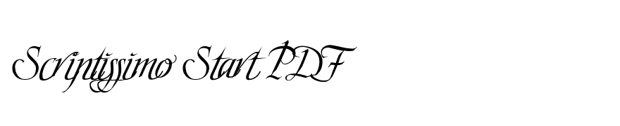 Scriptissimo Start PDF