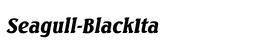 Seagull-BlackIta