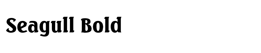 Seagull Bold