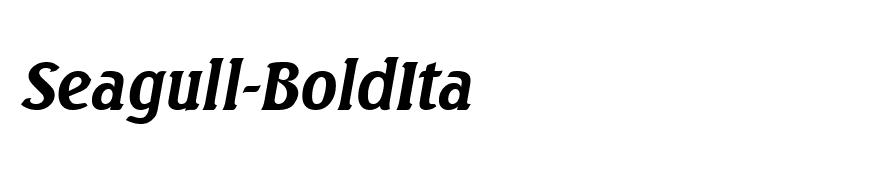 Seagull-BoldIta