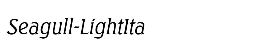 Seagull-LightIta
