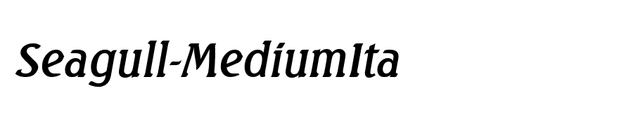 Seagull-MediumIta