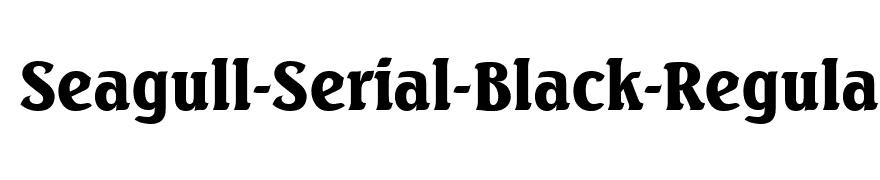 Seagull-Serial-Black-Regular