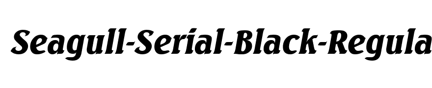 Seagull-Serial-Black-RegularItalic