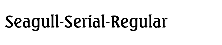 Seagull-Serial-Regular