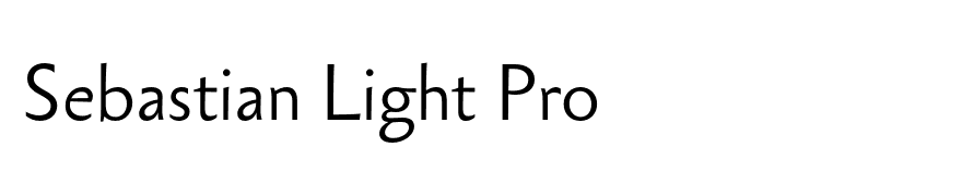 Sebastian Light Pro
