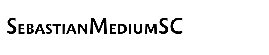 SebastianMediumSC