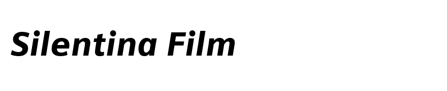 Siemens Sans Black Italic