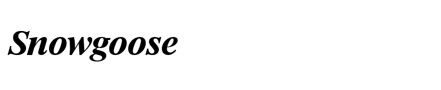 SimonBecker Bold Italic