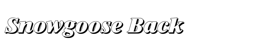 SimonBeckerShadow-Heavy-Italic